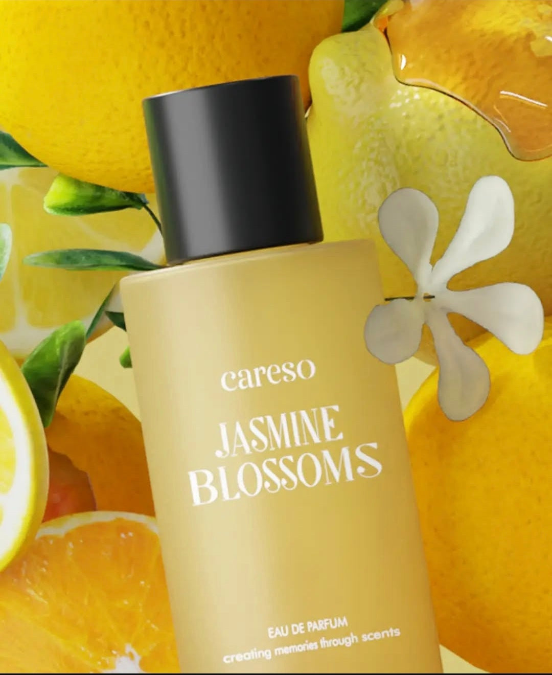 Jasmine Blossoms